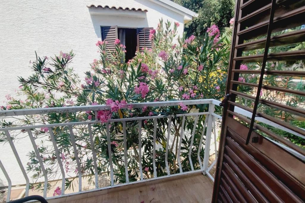 Casa Blanca, Biograd Na Moru Apartamento Exterior foto